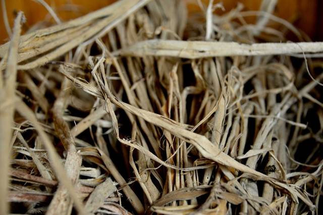 【JDB官网入口】美国零售巨头股价大跌 分析师称再加税将抹去零售业未来12个月的增长(图1) JDB官网入口