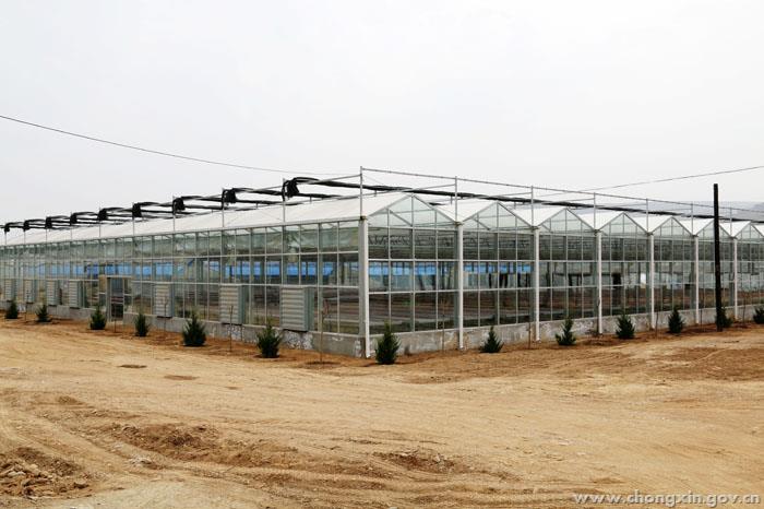 Jdb电子官网|告知 甜食吃多了容易累(图1) JDB电子